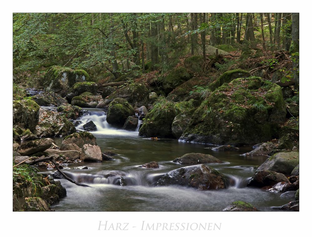 Harz - Impressionen " entlang der Kalten-Bode...."