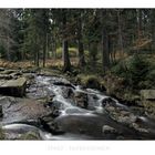 Harz- Impressionen "entlang der  kleinen Bodefälle "