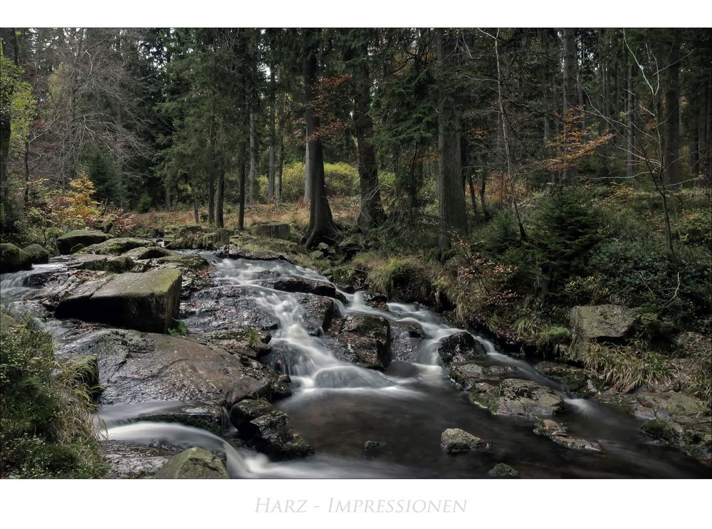 Harz- Impressionen "entlang der  kleinen Bodefälle "