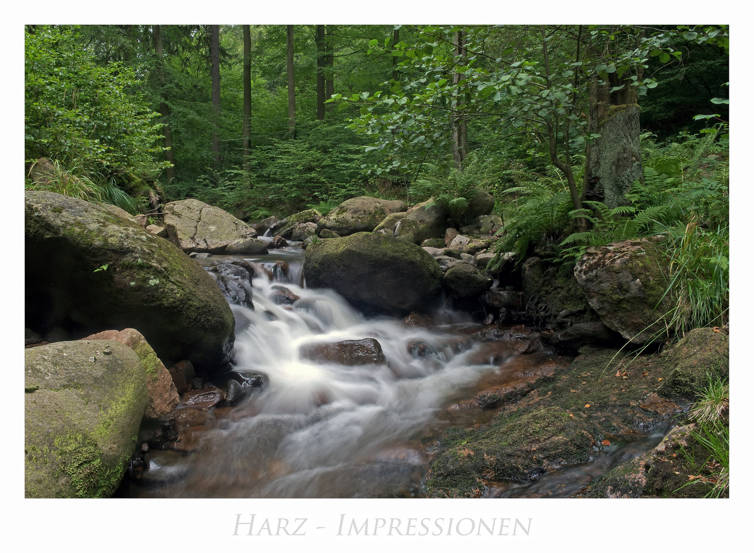 Harz - Impressionen " entlang des ILsetals...."