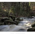 Harz- Impressionen " entlang des ILsetals "