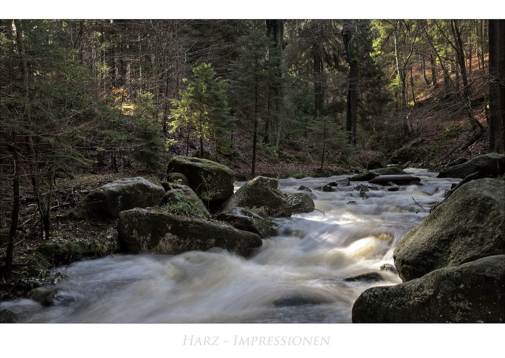 Harz- Impressionen " entlang des ILsetals "