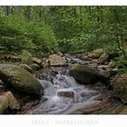 Harz - Impressionen " entlang des ILsetals...."