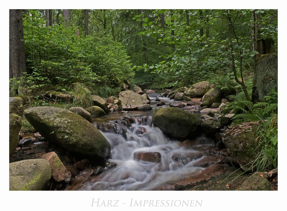 Harz - Impressionen " entlang des ILsetals...."