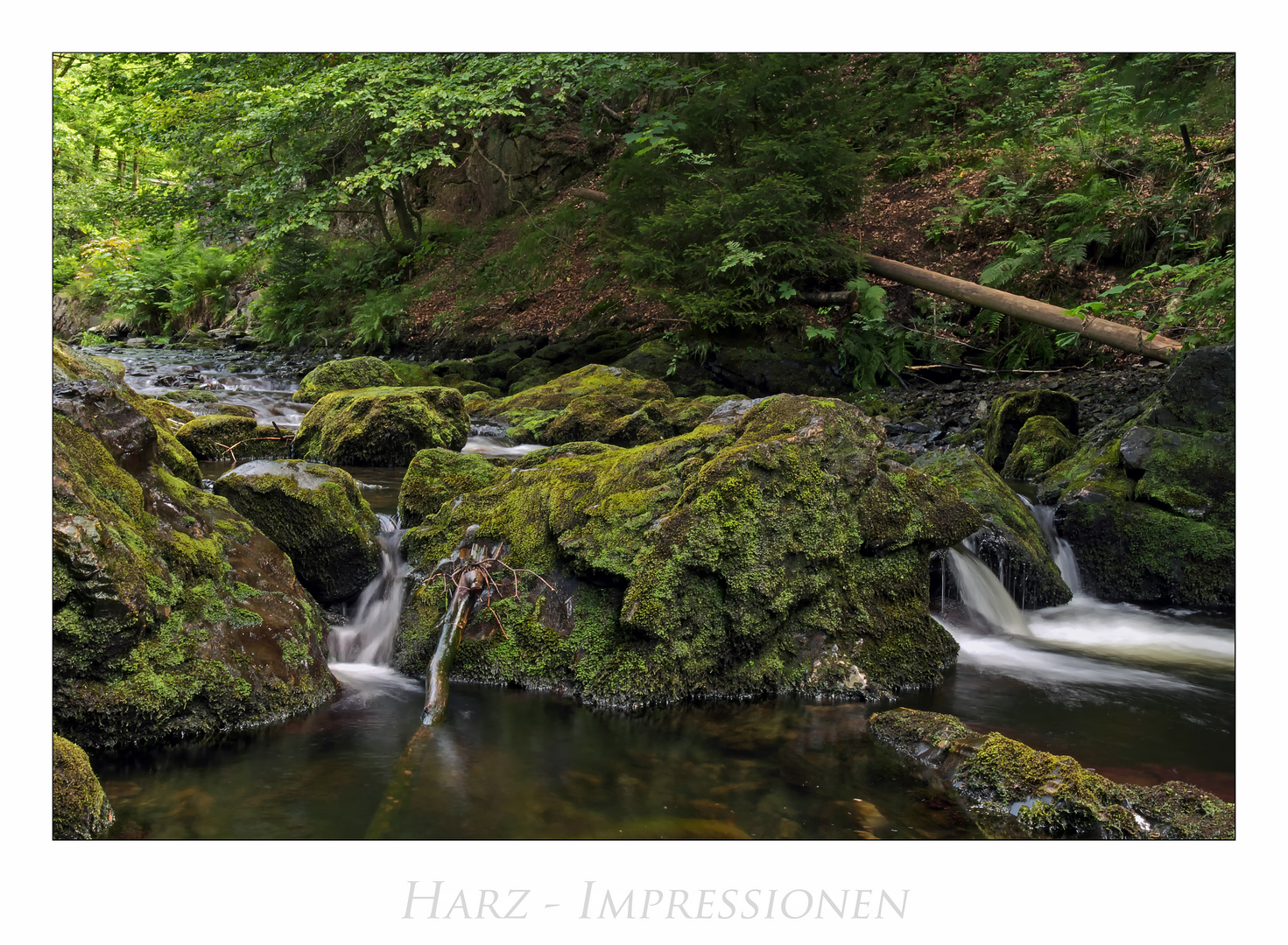 Harz - Impressionen " entlang des Okertals...."