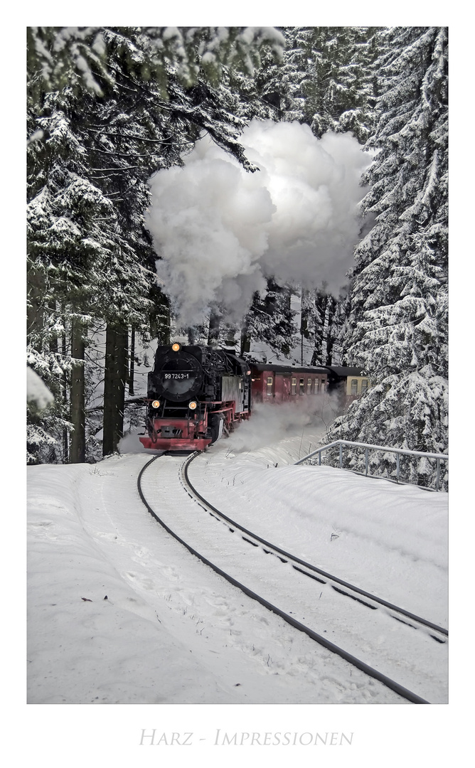 Harz-Impressionen " Harzer Schmalspurbahn.."