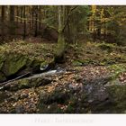 Harz - Impressionen " im Eckertal...."