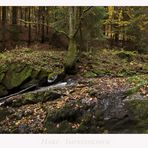 Harz - Impressionen " im Eckertal...."