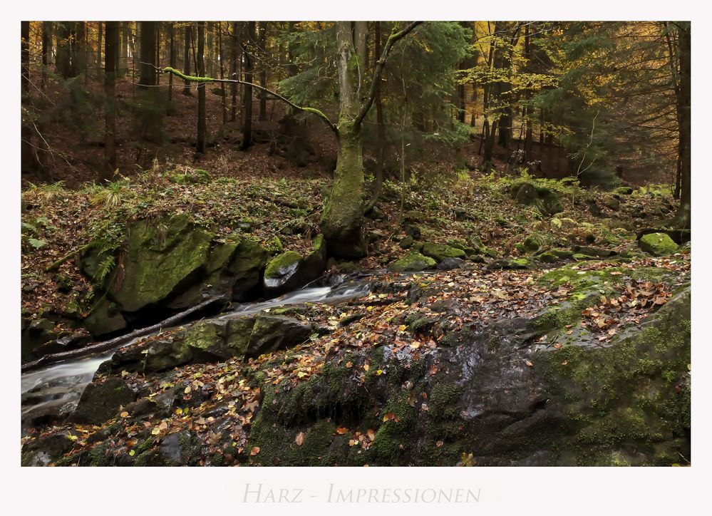 Harz - Impressionen " im Eckertal...."