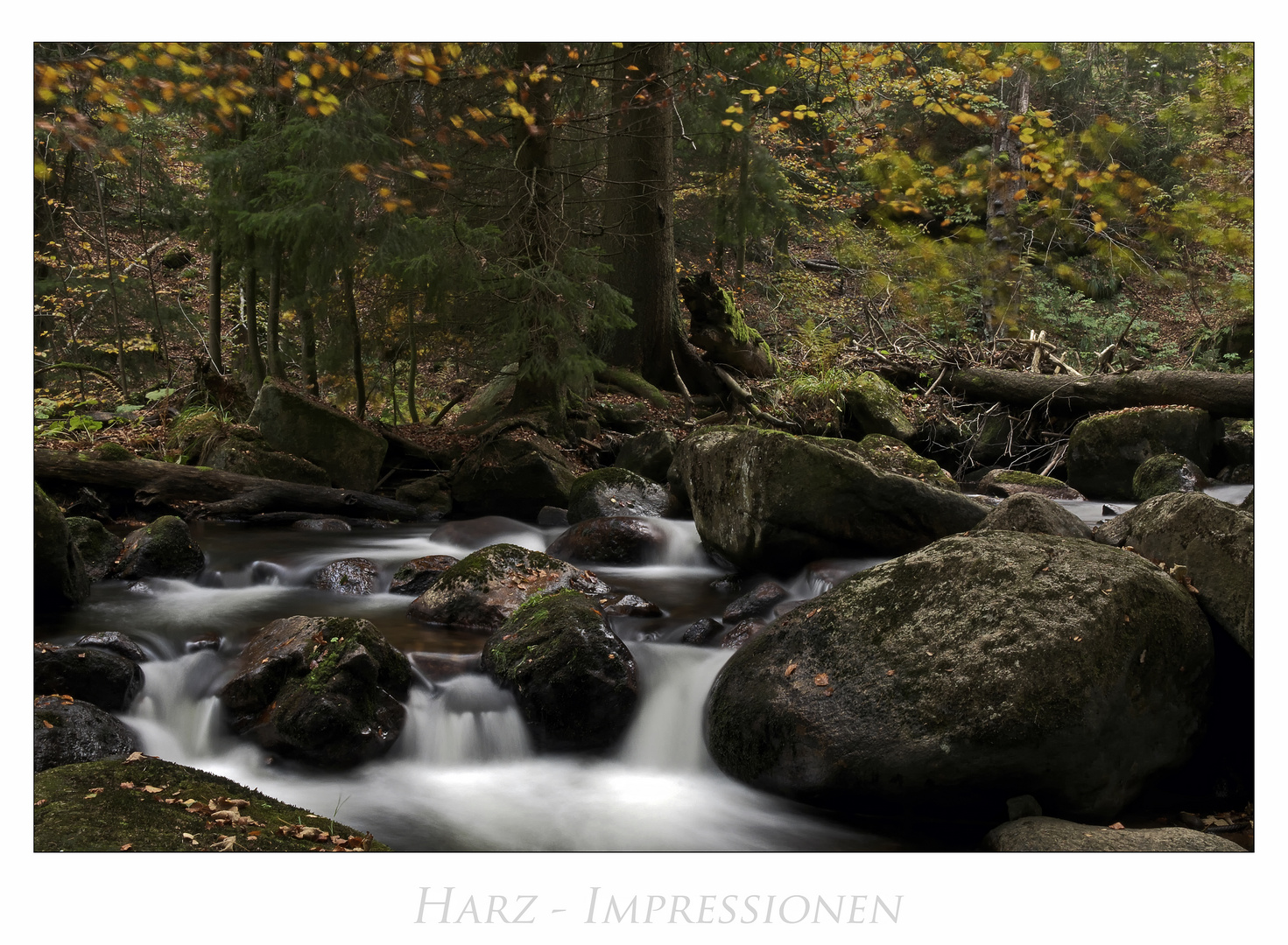 Harz - Impressionen " im Elendstal...."