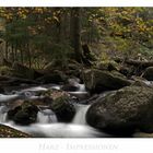 Harz - Impressionen " im Elendstal...."