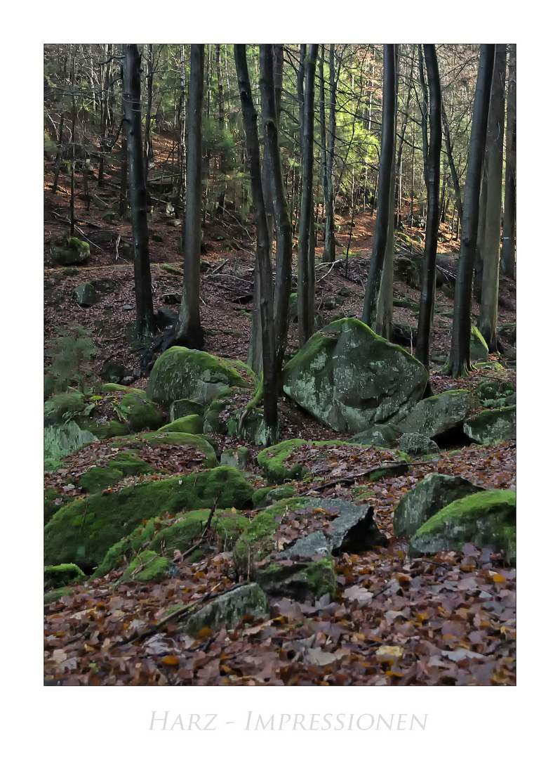 Harz- Impressionen " im ILsetal "