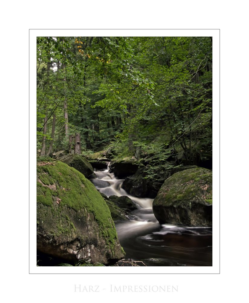 Harz - Impressionen " im ILsetal..."