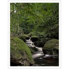 Harz - Impressionen " im ILsetal..."