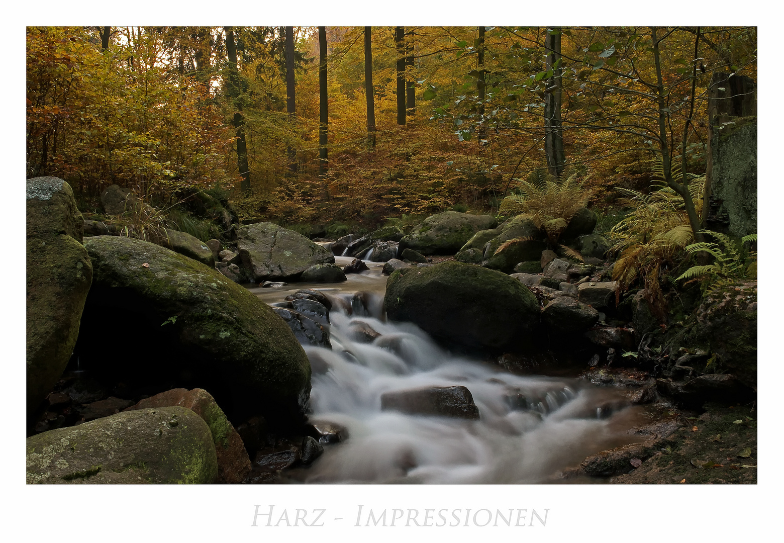 Harz - Impressionen " im ILsetal...."