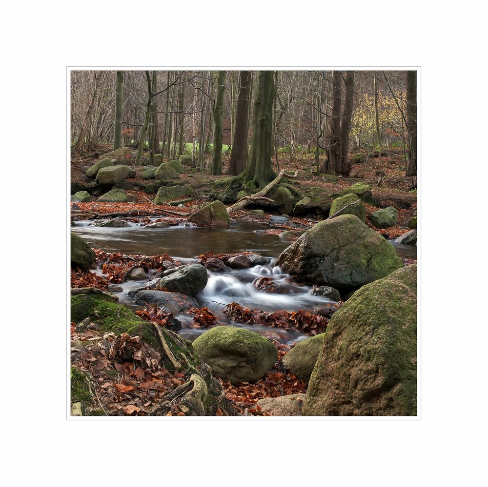 Harz - Impressionen " im ILsetal...."