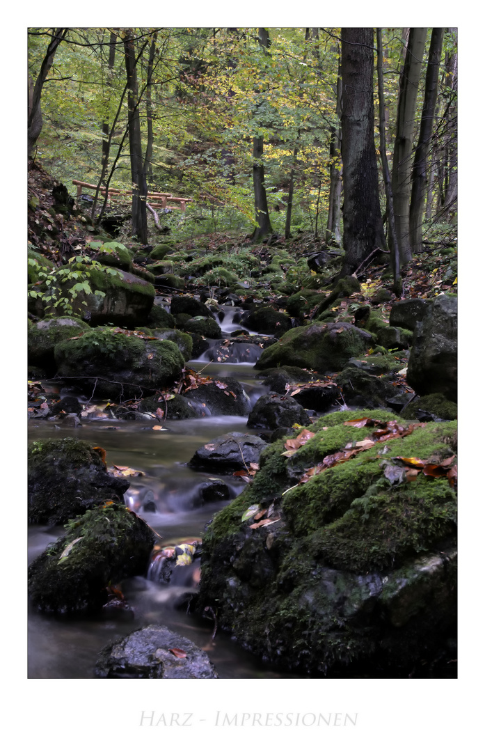 Harz- Impressionen " im Riefenbachtal "