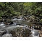 Harz - Impressionen " kalte Bode..."