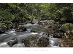 Harz - Impressionen " kalte Bode..."