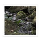 Harz - Impressionen " Kleiner Flusslauf, im Okertal.."