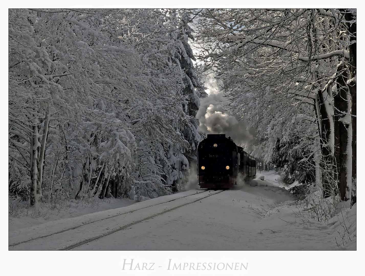 Harz- Impressionen " kurz vor dem ZIEL.......