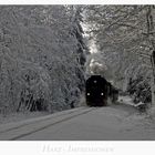 Harz- Impressionen " kurz vor dem ZIEL.......