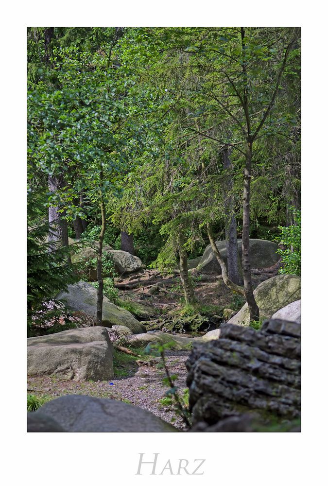 Harz - Impressionen " Licht und Schatten...."