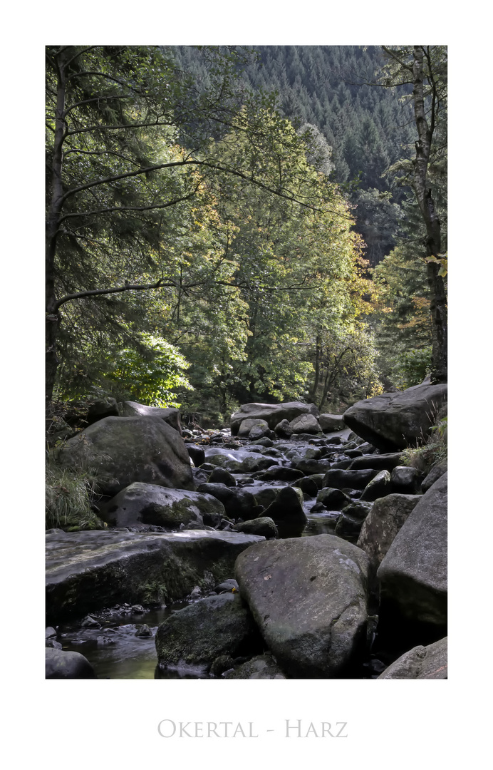 Harz- Impressionen " Okertal "