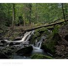 Harz - Impressionen " untere ILsefälle..."