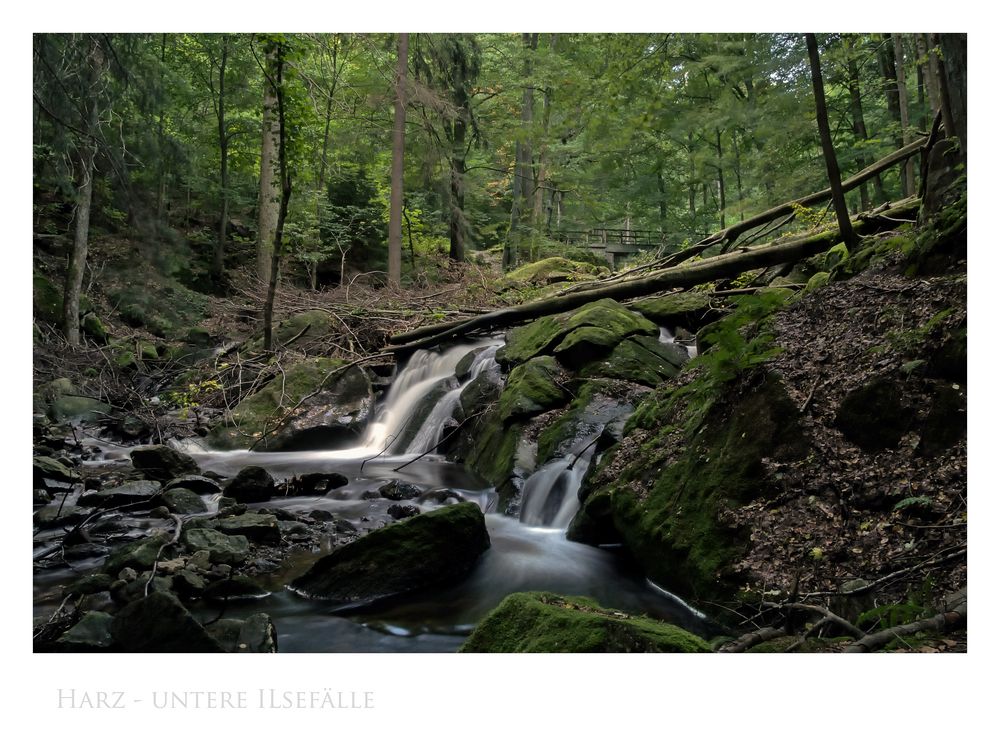 Harz - Impressionen " untere ILsefälle..."