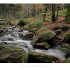 Harz- Impressionen " Warme - Bode "