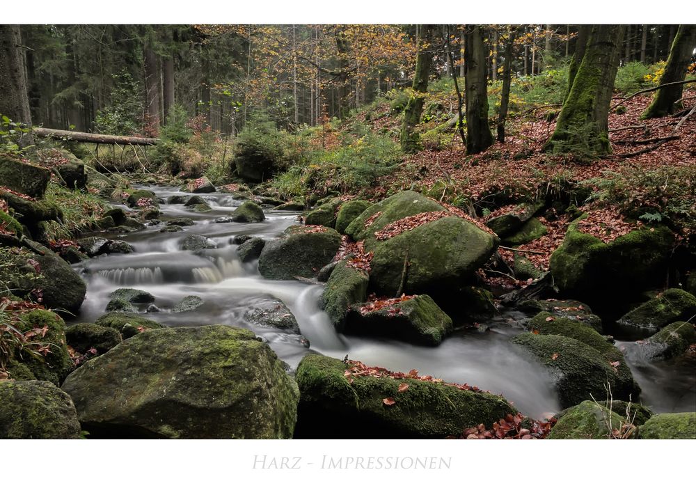 Harz- Impressionen " Warme - Bode "