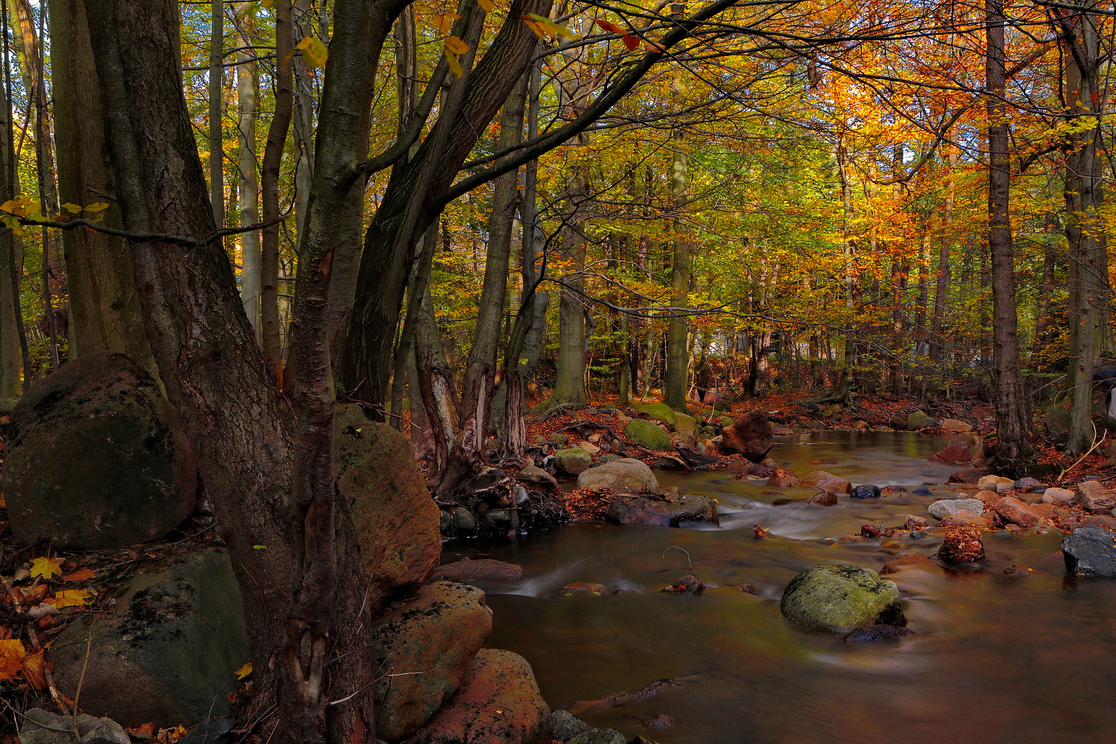 HARZ-KOMPAKT | Herbst im Ilsetal