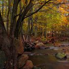 HARZ-KOMPAKT | Herbst im Ilsetal