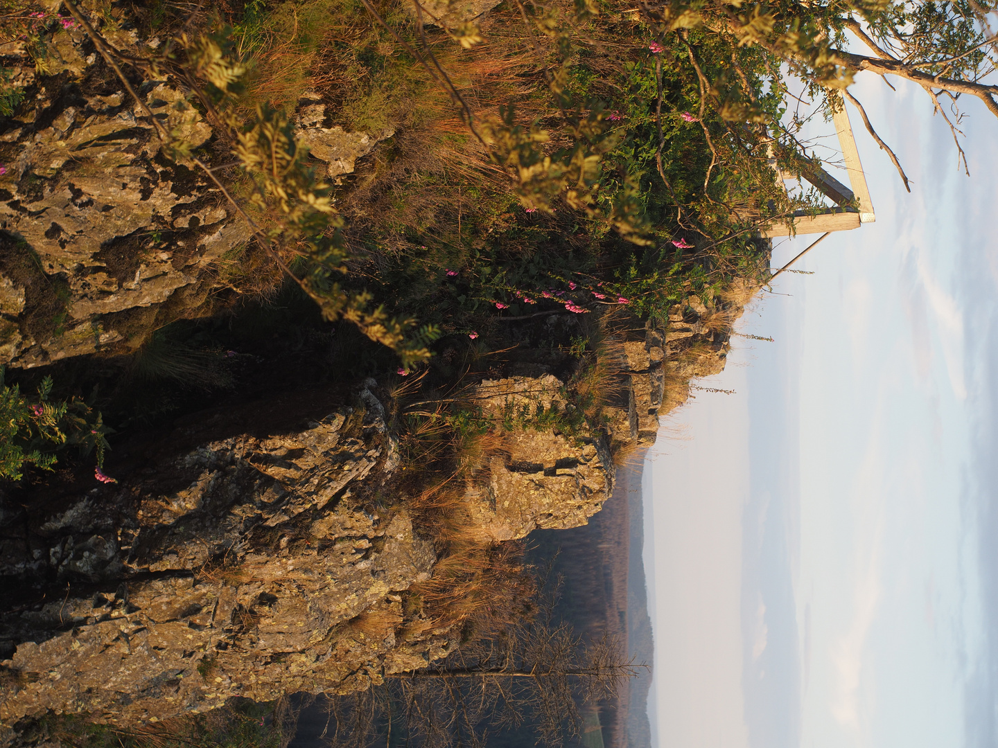 Harz Landschaft im Wandel