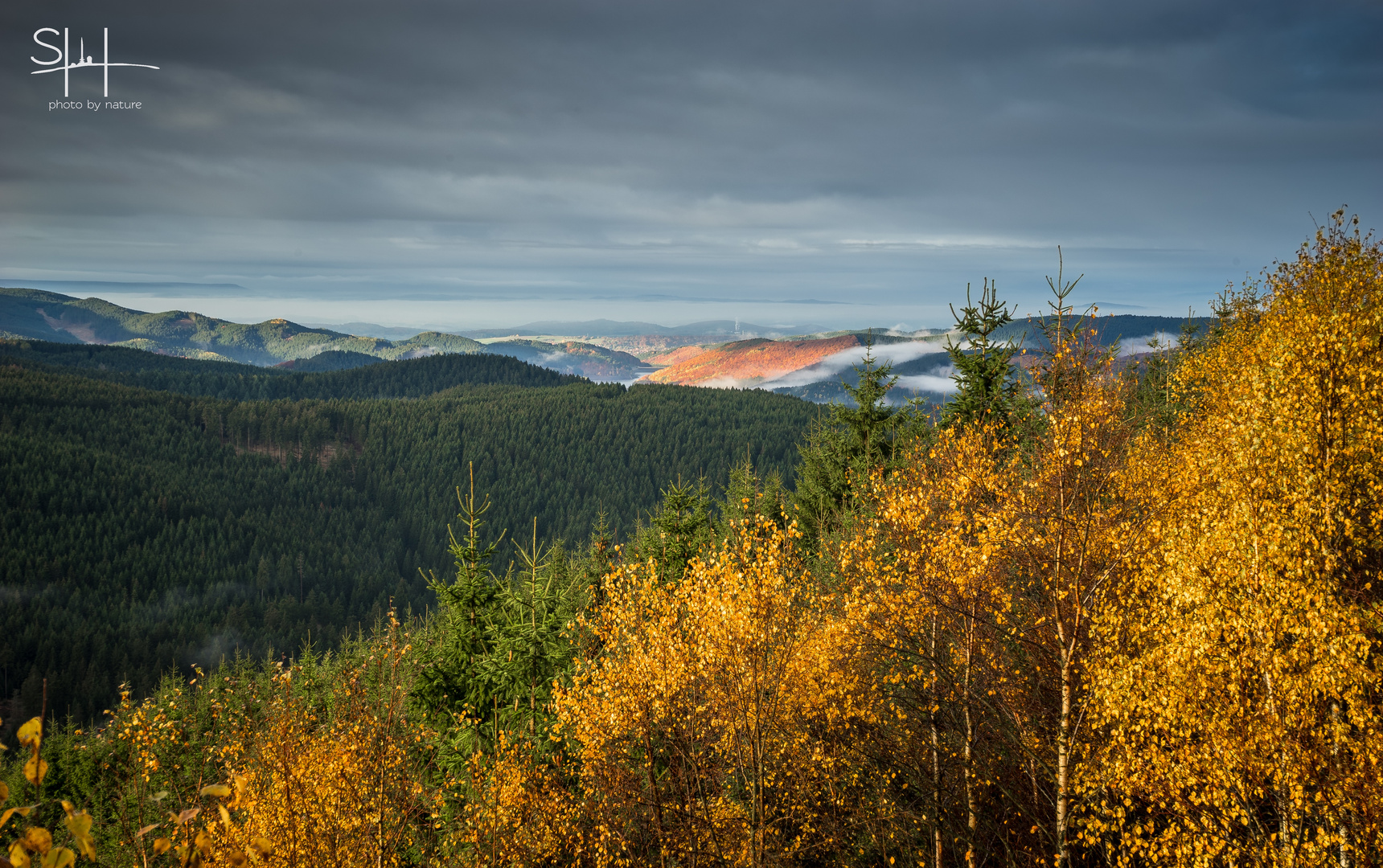 Harz mit Herbst