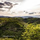 Harz Mountains