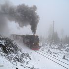 Harz noch einmal