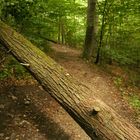 Harz, Treseburg bei Thale