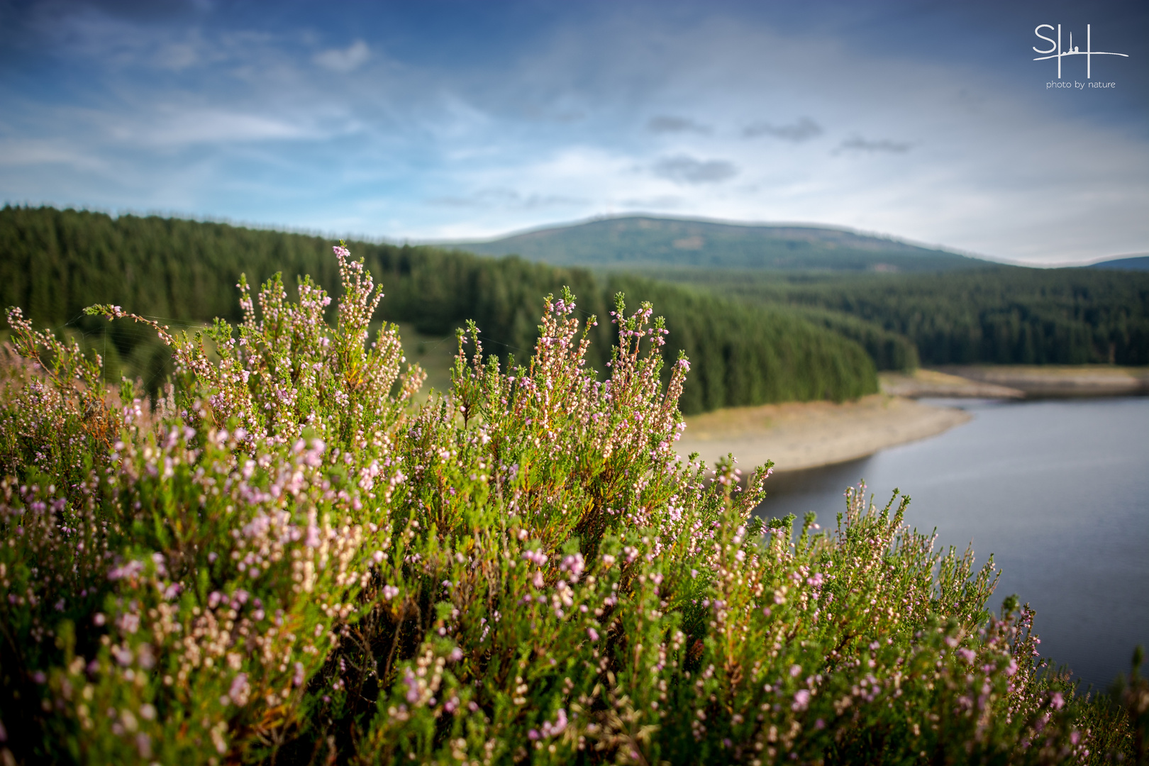 Harz und Heide