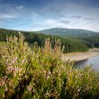 Harz und Heide