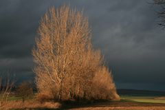 Harz-Vorland