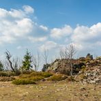 Harz-Wanderung zur Wolfswarte I - April 2019