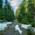 Harz-Wanderung zur Wolfswarte II - April 2019