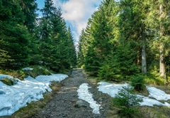 Harz-Wanderung zur Wolfswarte II - April 2019