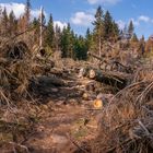 Harz-Wanderung zur Wolfswarte V - April 2019