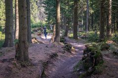 Harz-Wanderung zur Wolfswarte VII - April 2019