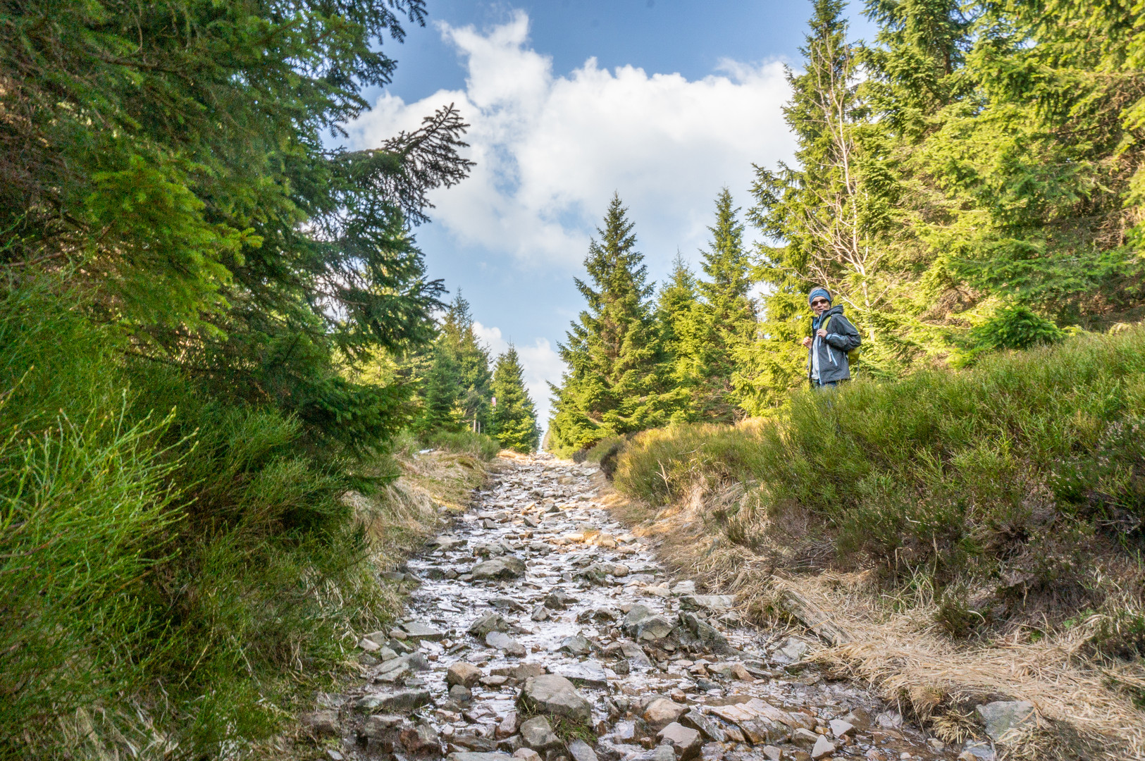 Harz-Wanderung zur Wolfswarte X - April 2019 Foto & Bild | landschaft