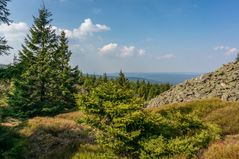 Harz-Wanderung zur Wolfswarte XV - April 2019