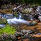 Harz - Warme Bode